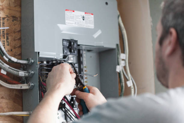 Best Electrical Panel Upgrades  in Ridgetop, TN